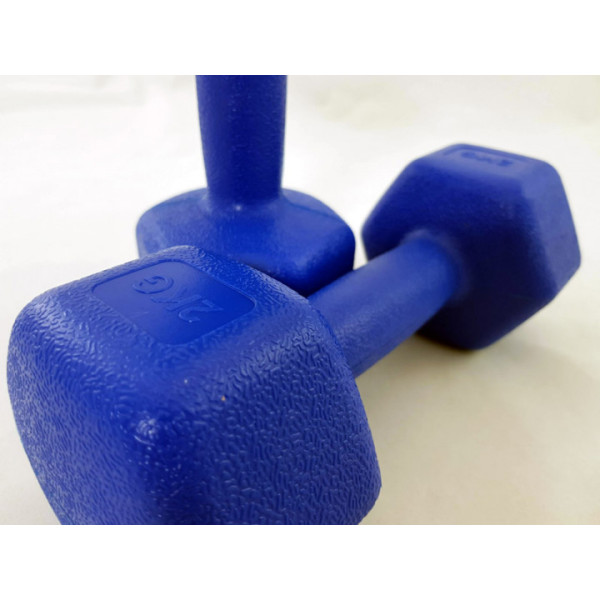 Гантель з пластиковим покриттям MS 2938, 2 кг