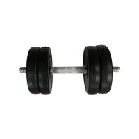 Гантель складальна композитна в пластиковій оболонці Rock Pro-R 11,5 кг NE-PL-R-011 (NE-PL-R-011)