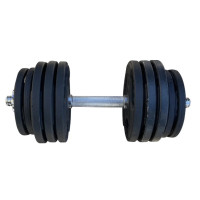 Гантель набірна металева Home Profi TI-968-21, 21 кг (TI-968-21)