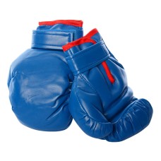 Дитячі боксерські рукавички MS1649, 19 см