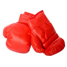 Детские боксерские перчатки MS1649, 19 см