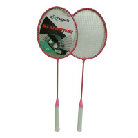 Набор Бадминтона BD24188(Pink) 2 ракетки, в сумке(BD24188(Pink))