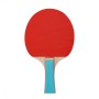 Набір для настільного тенісу Profi MS 0220 Сітка, ракетки, м'ячики