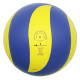 М'яч волейбольний тренувальний Mistral 10 NE-GALA-M10 № 5 (NE-GALA-M10)