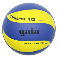 М'яч волейбольний тренувальний Mistral 10 NE-GALA-M10 № 5 (NE-GALA-M10)