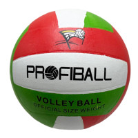 М'яч волейбольний "Profiball" VA 0016(Green-White) розмір №5 (VA 0016(Green-White))