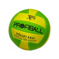 Мяч волейбольный EV-3159 20,7 см