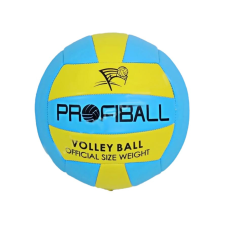 Мяч волейбольный EV-3159 20,7 см