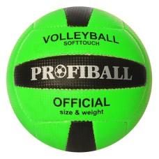 Мяч волейбольный 1107 18 панелей