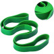 Гумова петля для тренування Pro Loop Bands NE-B-452-23-54G, 23-54 кг, зелена  (NE-B-452-23-54G)