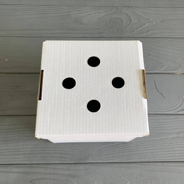 Бокс для бургера білий 120х120х120 мм (від 10 шт)