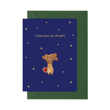 Листівка з конвертом Гриб СS-GS-003  (СS-GС-003)