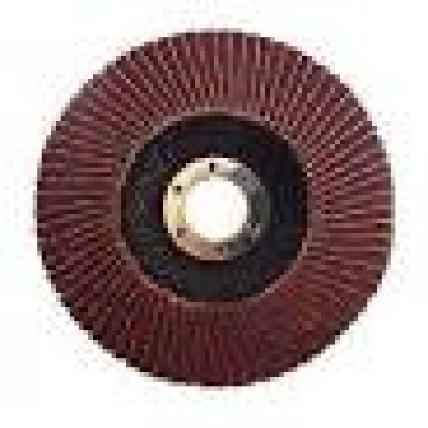 Круг лепестковый торцевой P40 125х22мм WERK Арт.5432702