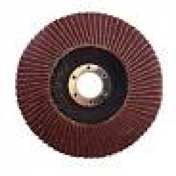 Круг пелюстковий торцевий P80 125х22мм WERK Арт.5432704