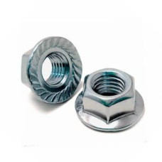 Гайка блістер М 10 шестигр.зубчата з буртиком (10шт) Арт.0106324005